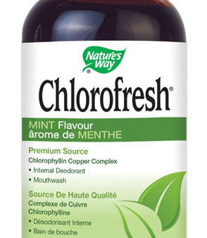 Nature s Way Chlorofresh - Mint (474 mL) Online Hot Sale