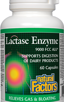 Natural Factors Lactase Enzyme (60 Capsules) For Discount