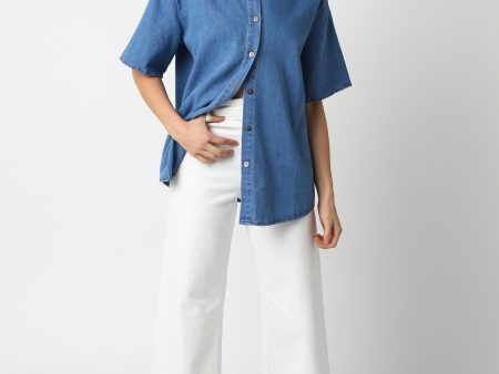 Jenny Denim Top Hot on Sale