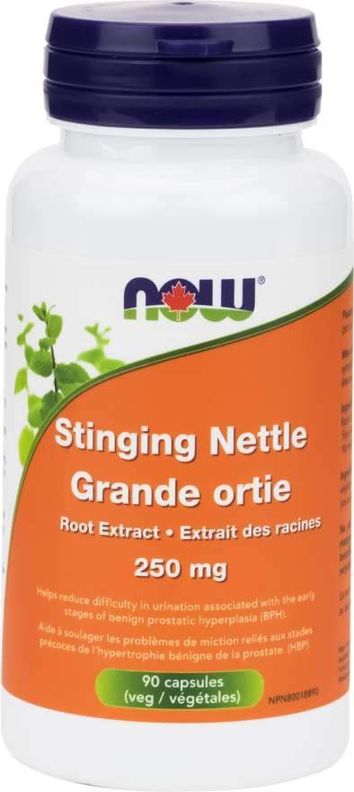 NOW Stinging Nettle Root Extract 250 mg (90 VCaps) Cheap