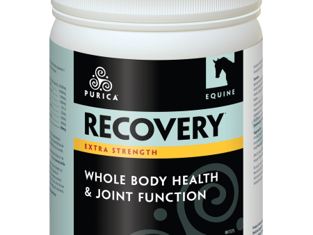 Purica Equine Recovery Extra Strength Hot on Sale