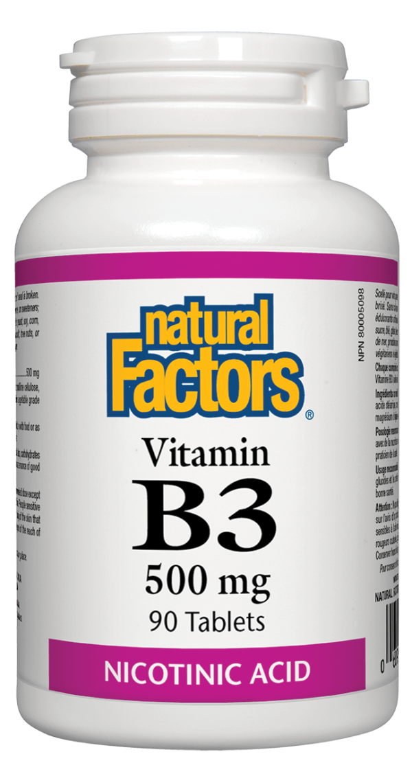 Natural Factors Vitamin B3 Nicotinic Acid 500 mg (90 Tablets) Online now