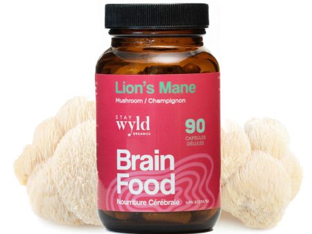 Stay Wyld Organics Lion s Mane (90 Capsules) For Cheap