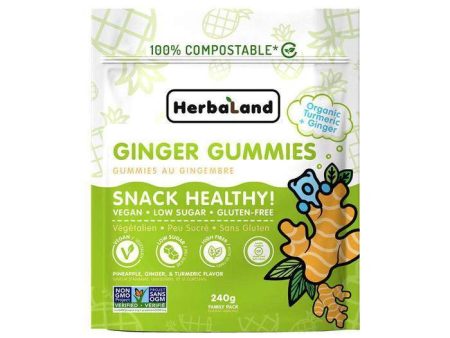 Herbaland Snacks with Benefits Turmeric & Ginger Gummies - Pineapple (240 g) For Discount