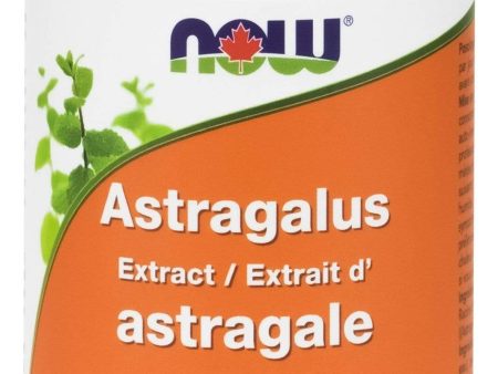 NOW Astragalus Extract 500 mg (90 VCaps) For Cheap