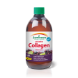 Jamieson Liquid Collagen - Elderberry Lime (350 mL) Online