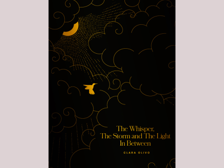 The Whisper, The Storm and The Light in Between, Clara Olivo For Sale