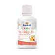 MapleLife Ca+Mag+Zn With Vitamin D3 - Strawberry (475 mL) Hot on Sale