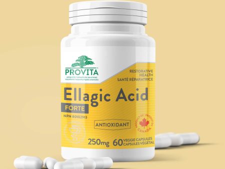 Provita Ellagic Acid Forte 250 mg (60 VCaps) Sale