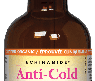 Natural Factors Echinamide Anti-Cold Echinacea & Goldenseal Tincture Hot on Sale