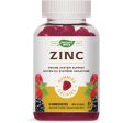 Nature s Way Zinc - Mixed Berry (60 Gummies) For Sale