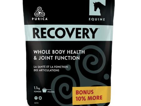 Purica Equine Recovery BONUS SIZE (1.1 kg) For Cheap